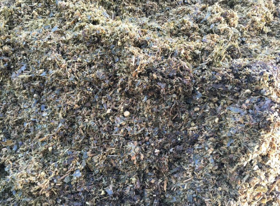 Chopped biomass