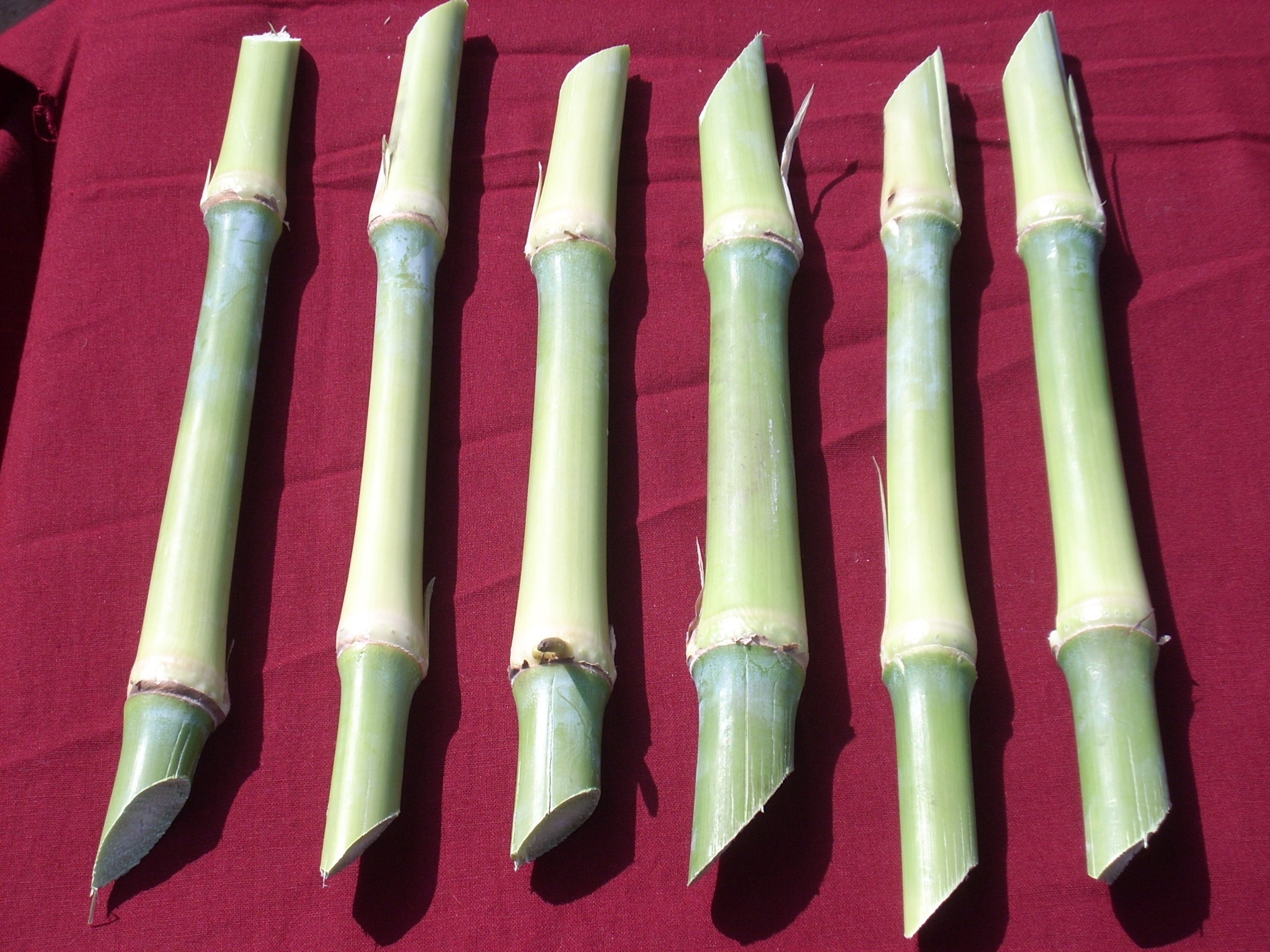 Planting material